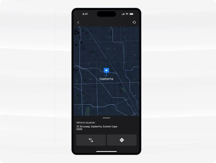 Remote Horn and Lights