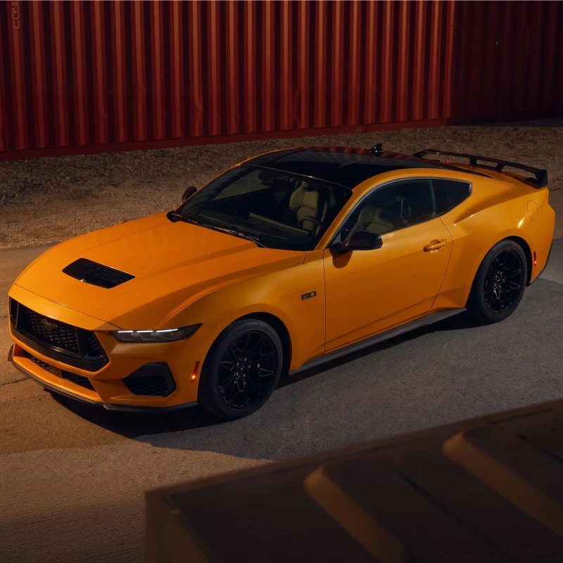 Mustang Nite Pony Go Boldly Into That Good Nite