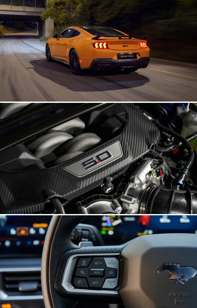 Mustang Nite Pony Gallery