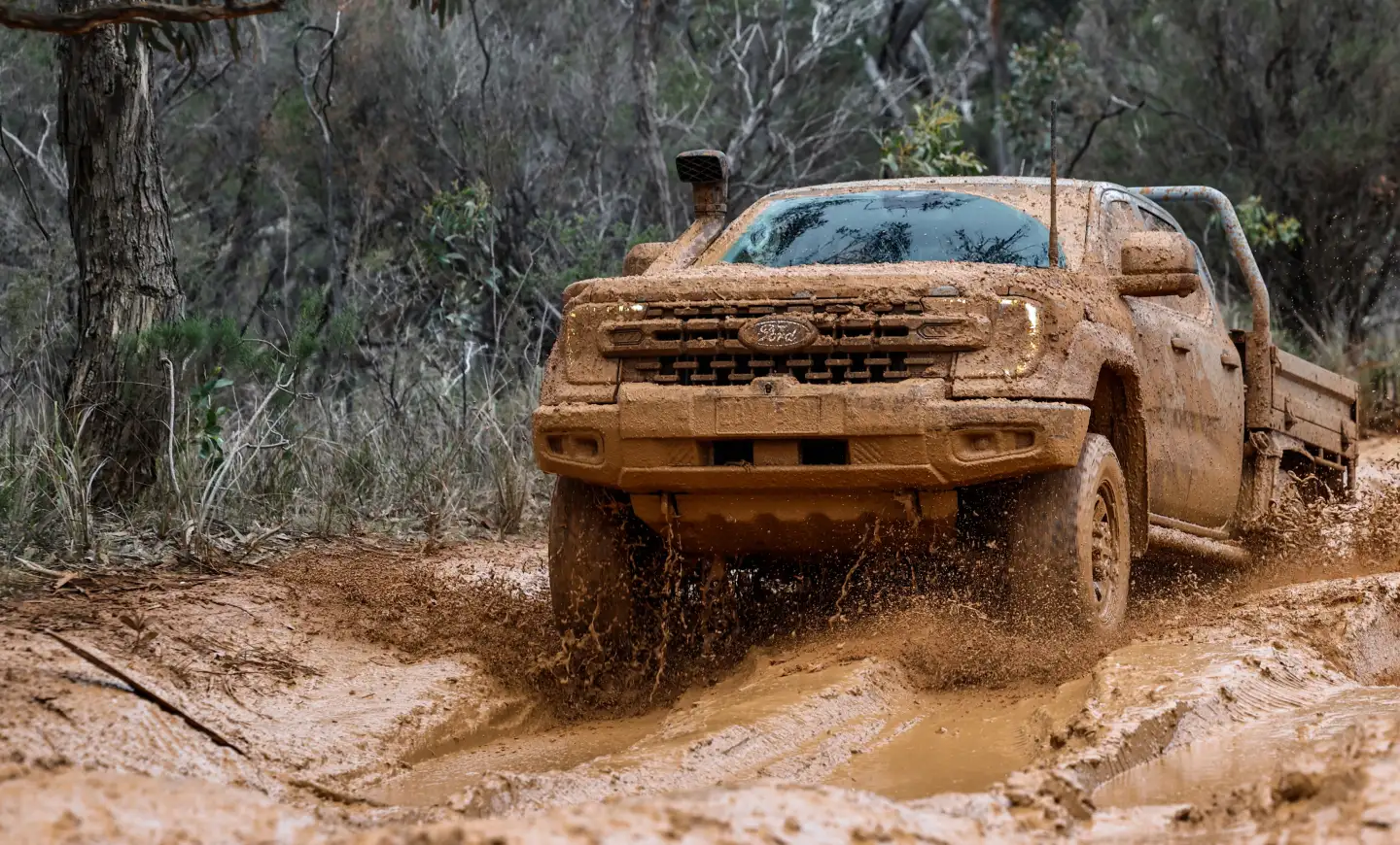 Heavy Duty Truck