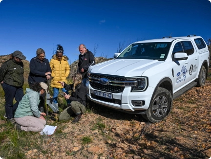 Conservation Projects