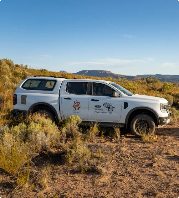 Conservation Projects