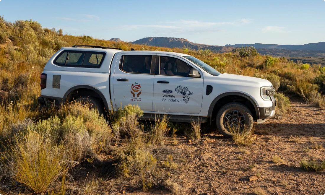 Conservation Projects
