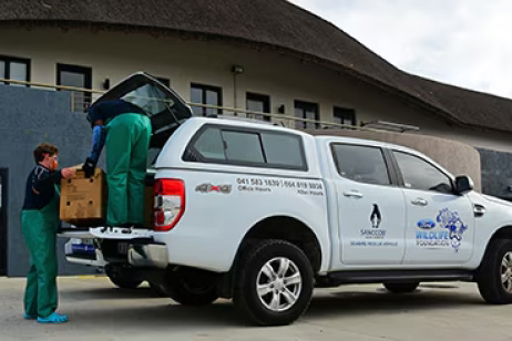 Ford Wildlife Foundation Continues Support for SANCCOB