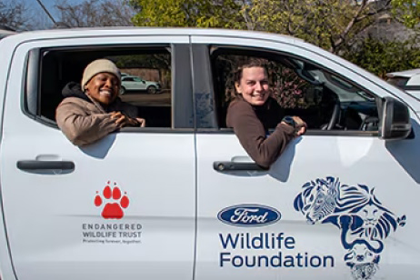 In the Lion’s Den the women who count Kruger’s Big Cats