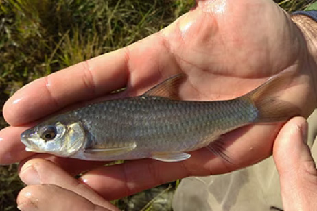 World Rivers Day and the Ford Wildlife Foundation's Contribution