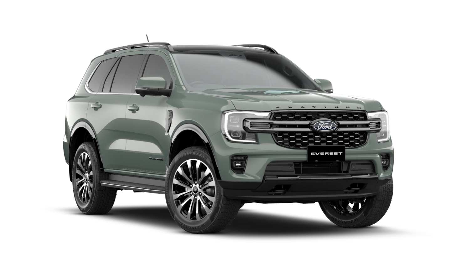 Everest Platinum
