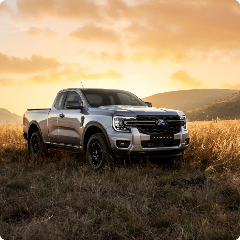 Silver pickup truck parked in grassy landscape at sunset.