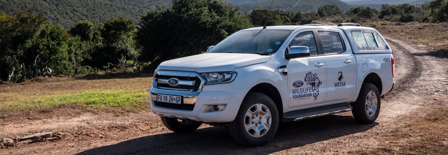 Ford Wildlife Foundation-Supported Project Receives Coveted Eco Award