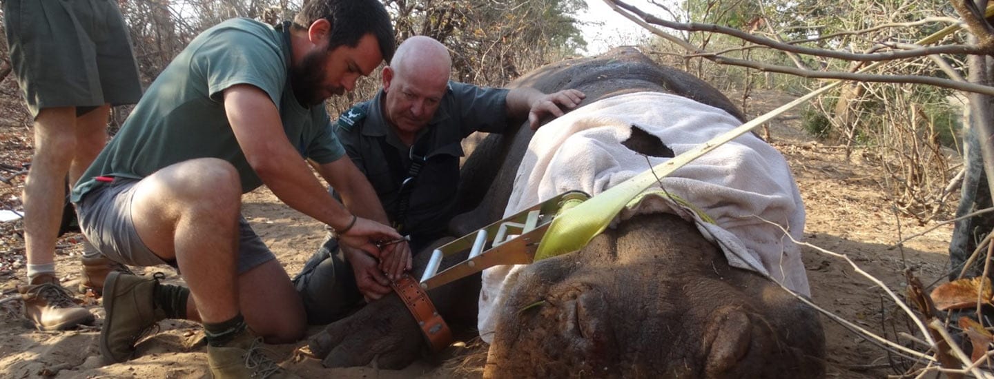 Fleet Vehicle Segment