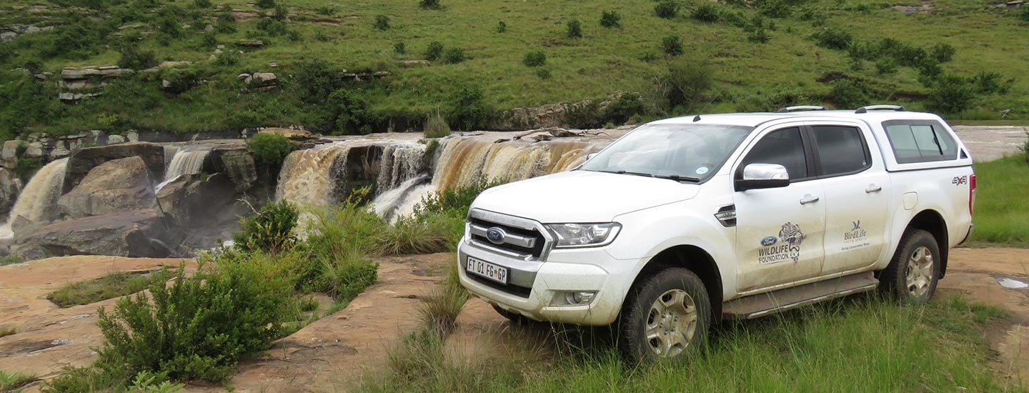 Ford and BirdLife South Africa
