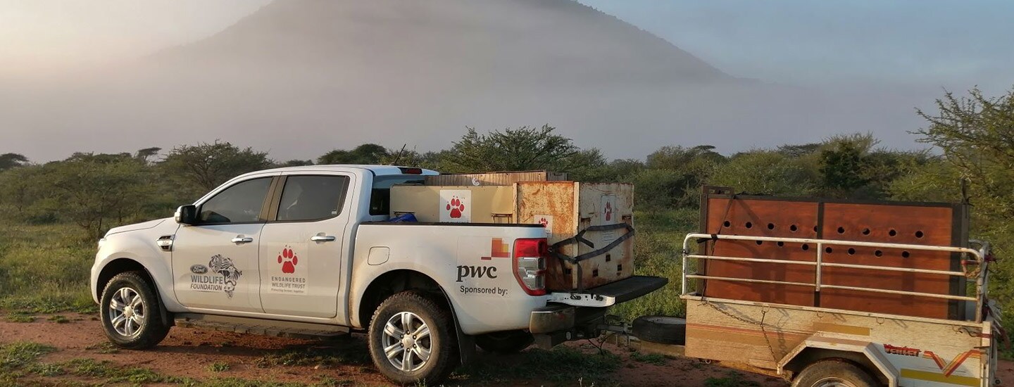 Ford Wildlife Foundation