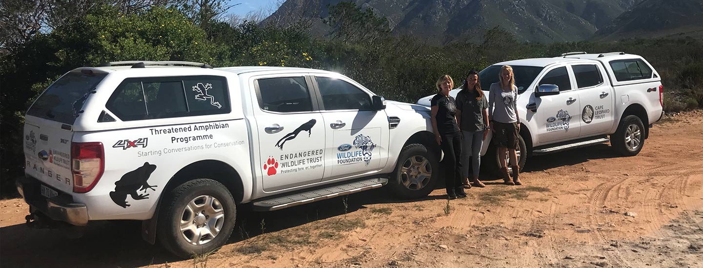 Ford Wildlife Foundation Organisations Join Forces to Support Two Different Species
