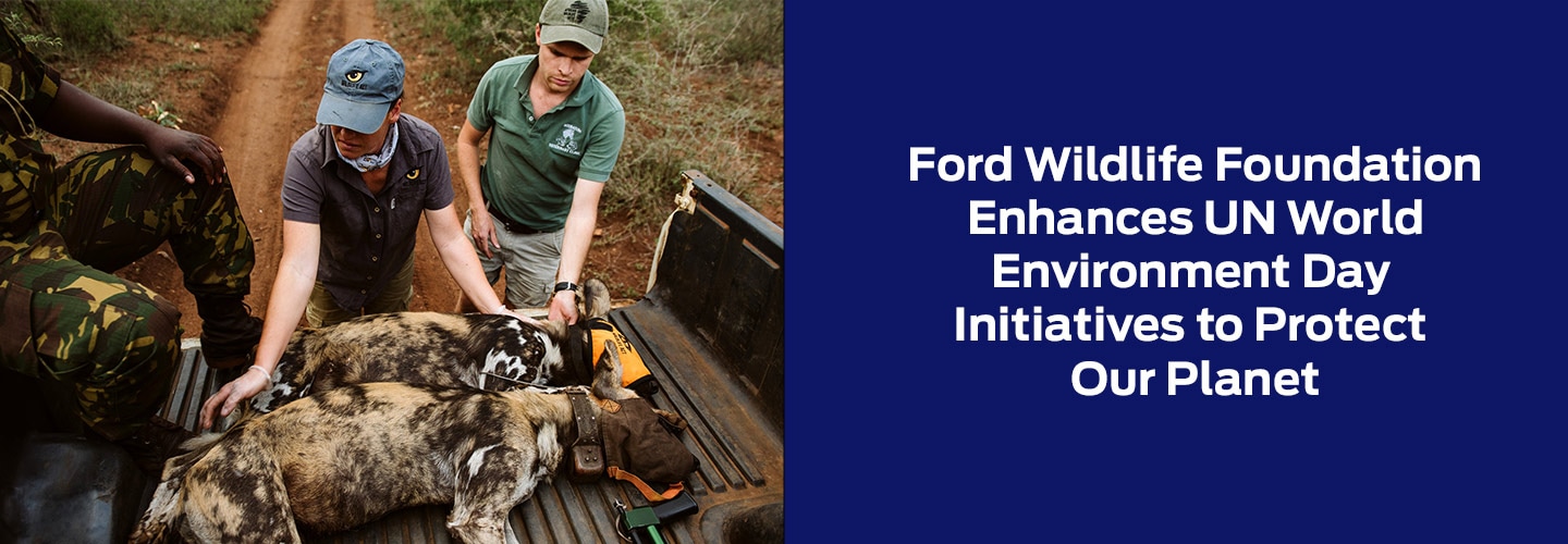Ford Wildlife Foundation