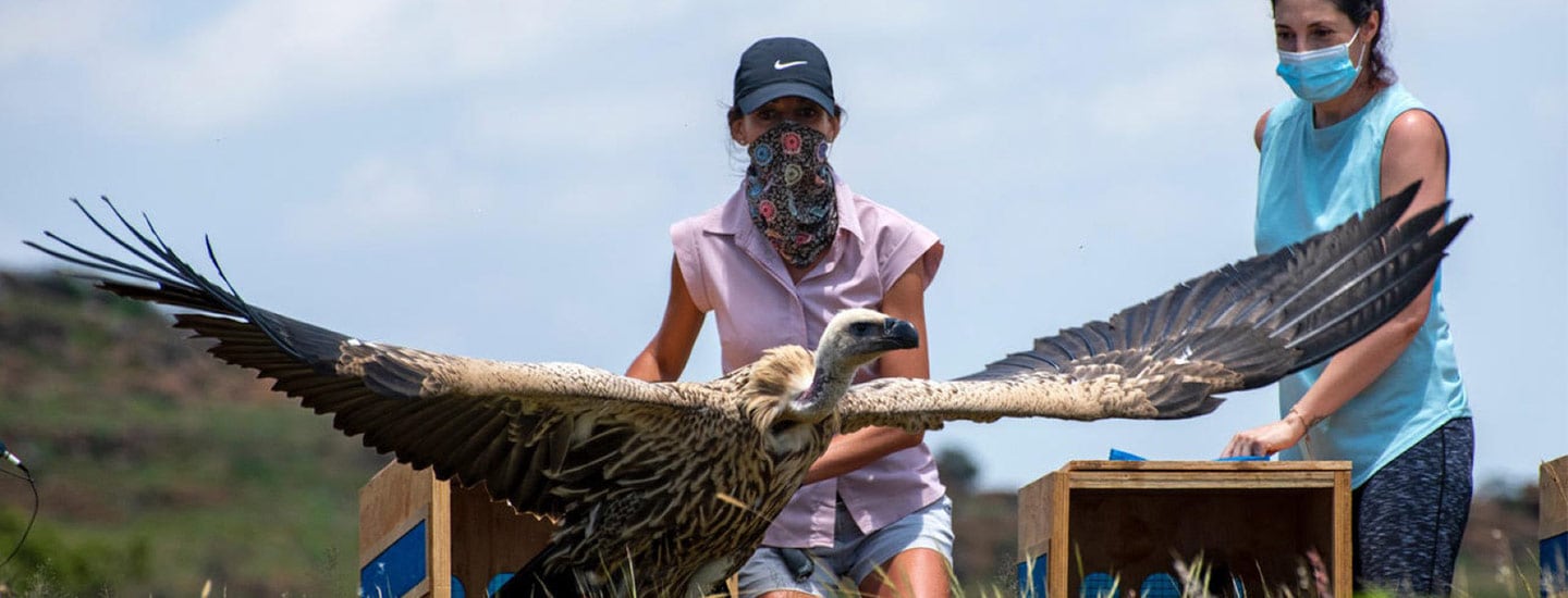 Ford Wildlife Foundation