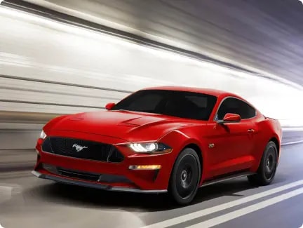 An elevated experience